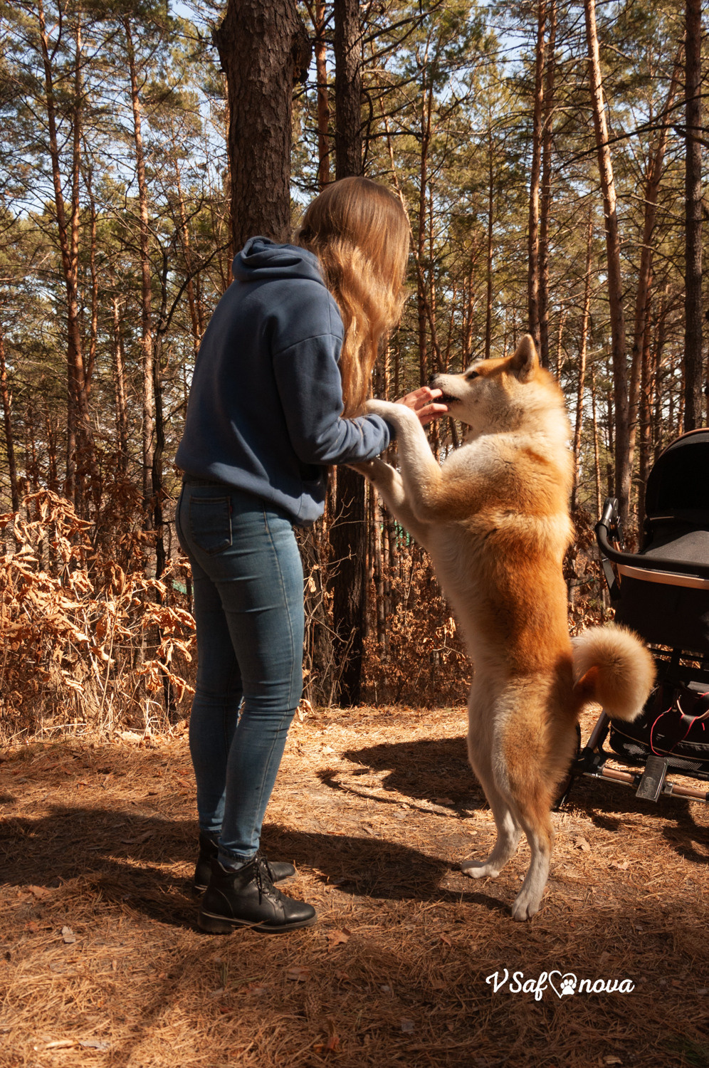 Алена, Кирилл и Фуми 09.04.2021. Фотограф анималист Благовещенск. Сафонова Виктория