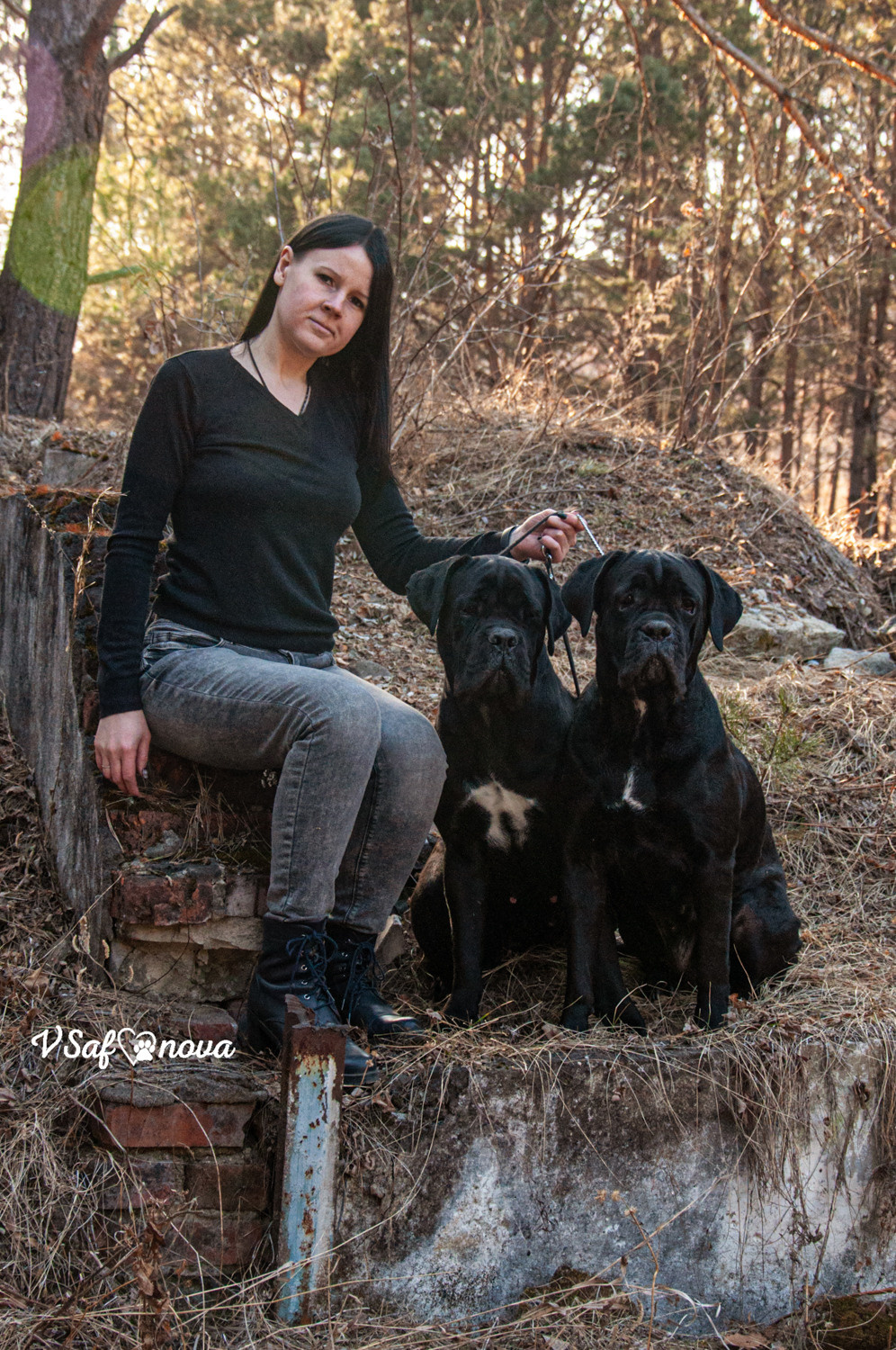 Таня, Прада и Тори 09.04.2021. Фотограф анималист Благовещенск. Сафонова Виктория