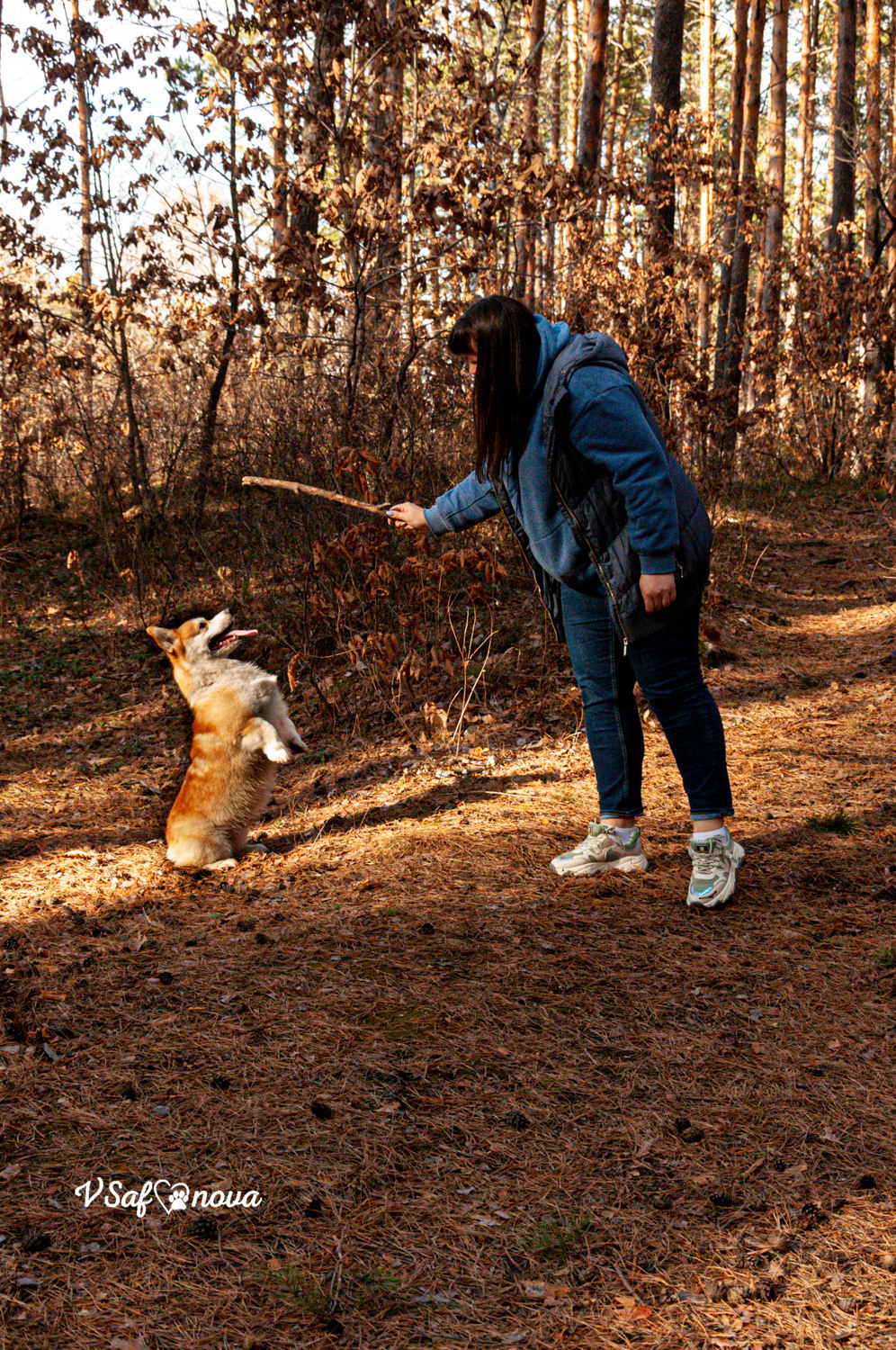 Локки и его команда 04.04.2021. Фотограф анималист Благовещенск. Сафонова Виктория