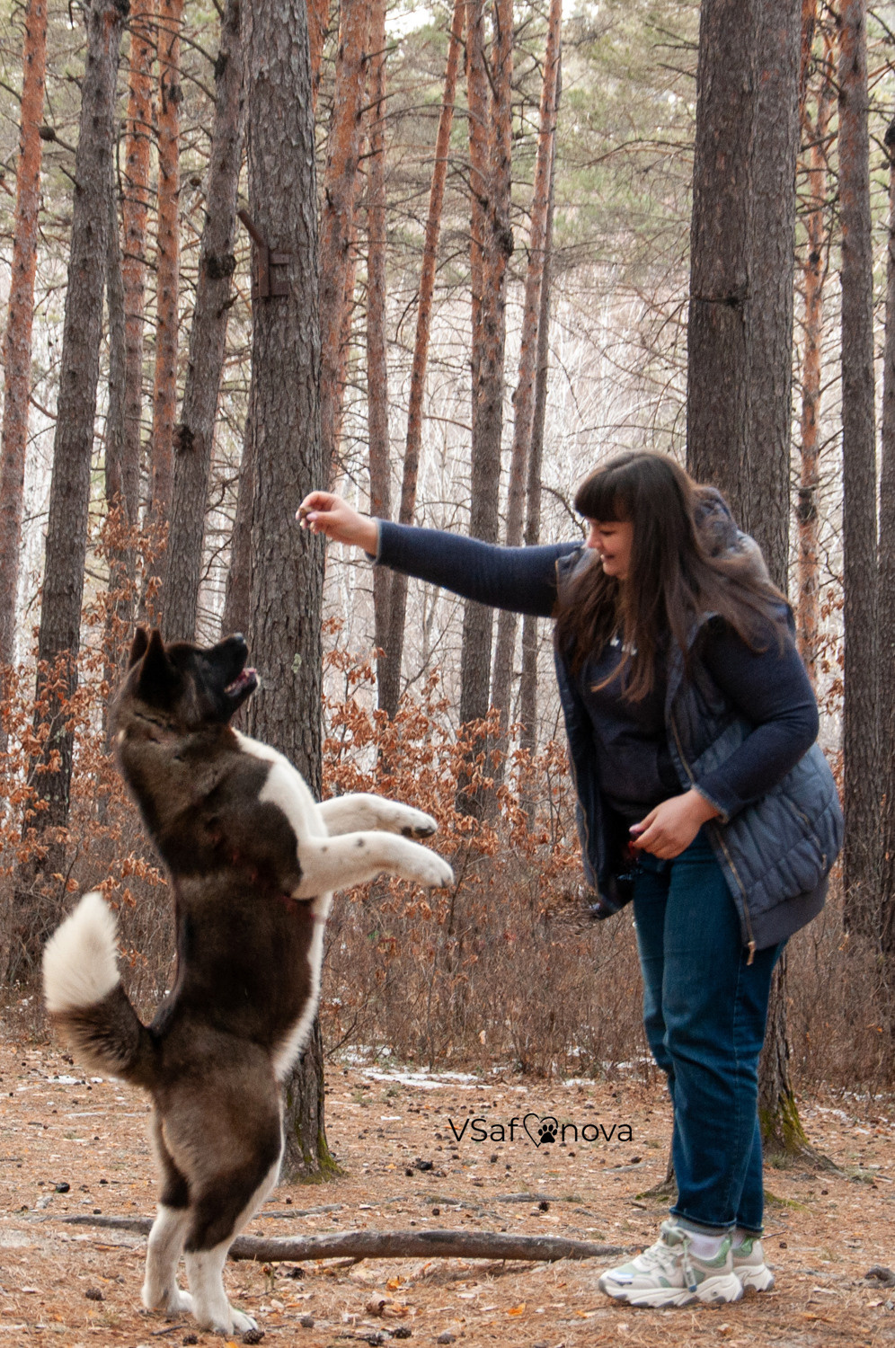 Аня и Дора 20.03.2021. Фотограф анималист Благовещенск. Сафонова Виктория