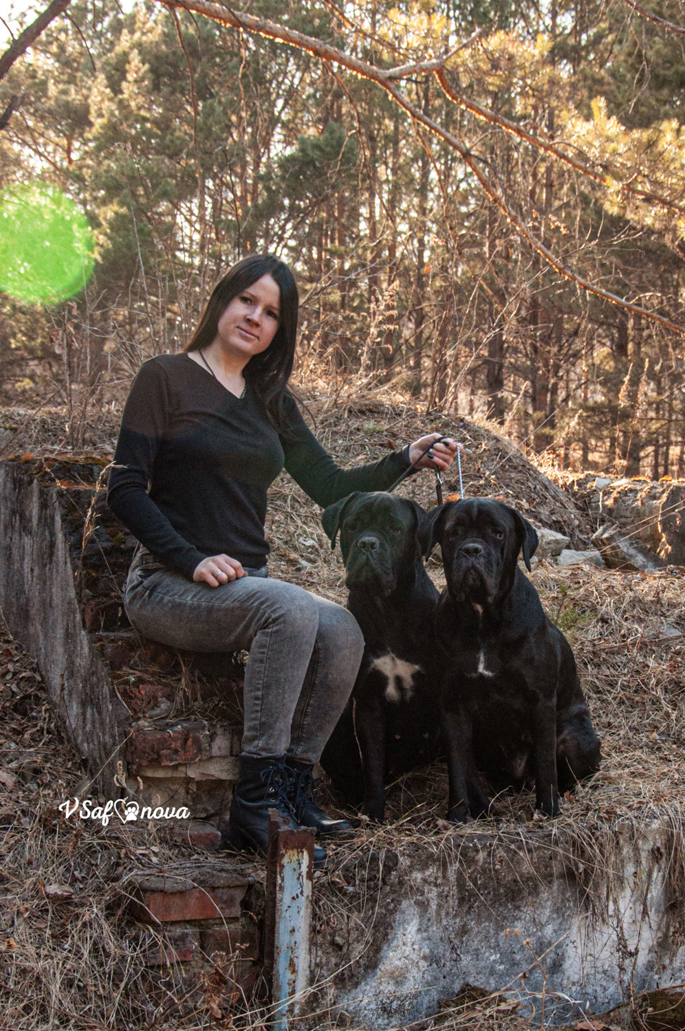 Таня, Прада и Тори 09.04.2021. Фотограф анималист Благовещенск. Сафонова Виктория