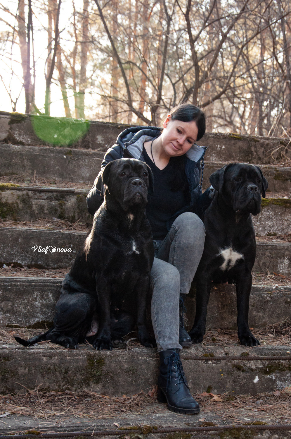 Таня, Прада и Тори 09.04.2021. Фотограф анималист Благовещенск. Сафонова Виктория