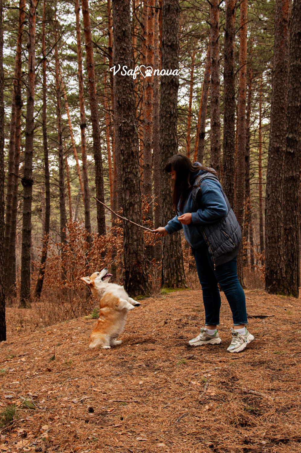 Локки и его команда 04.04.2021. Фотограф анималист Благовещенск. Сафонова Виктория