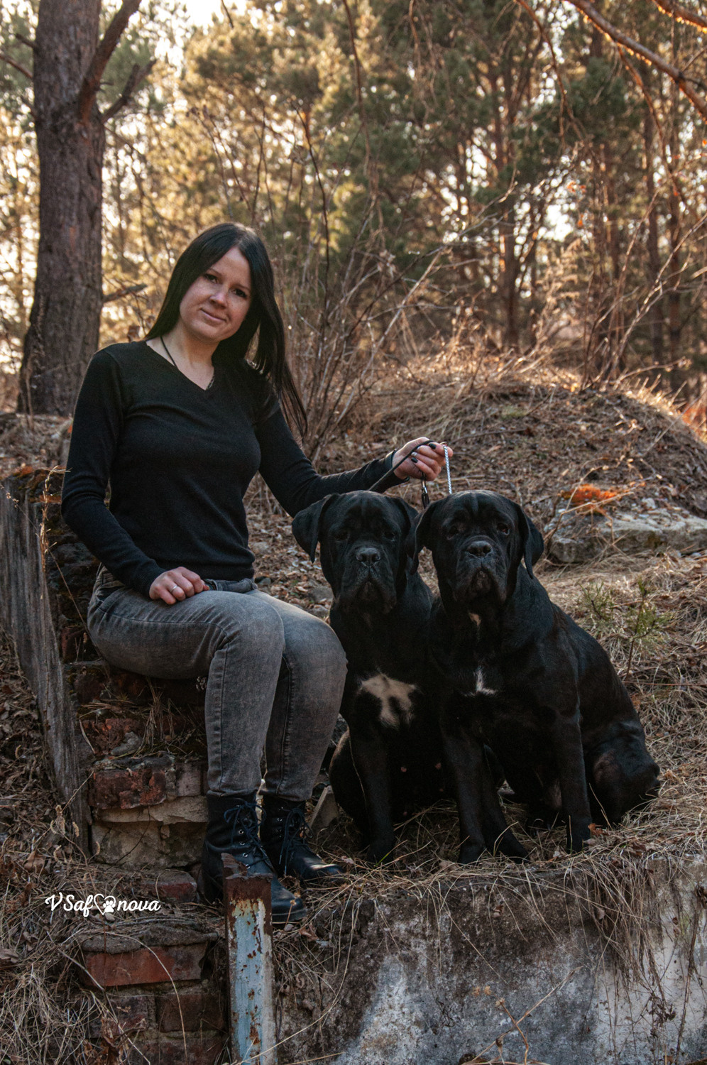 Таня, Прада и Тори 09.04.2021. Фотограф анималист Благовещенск. Сафонова Виктория
