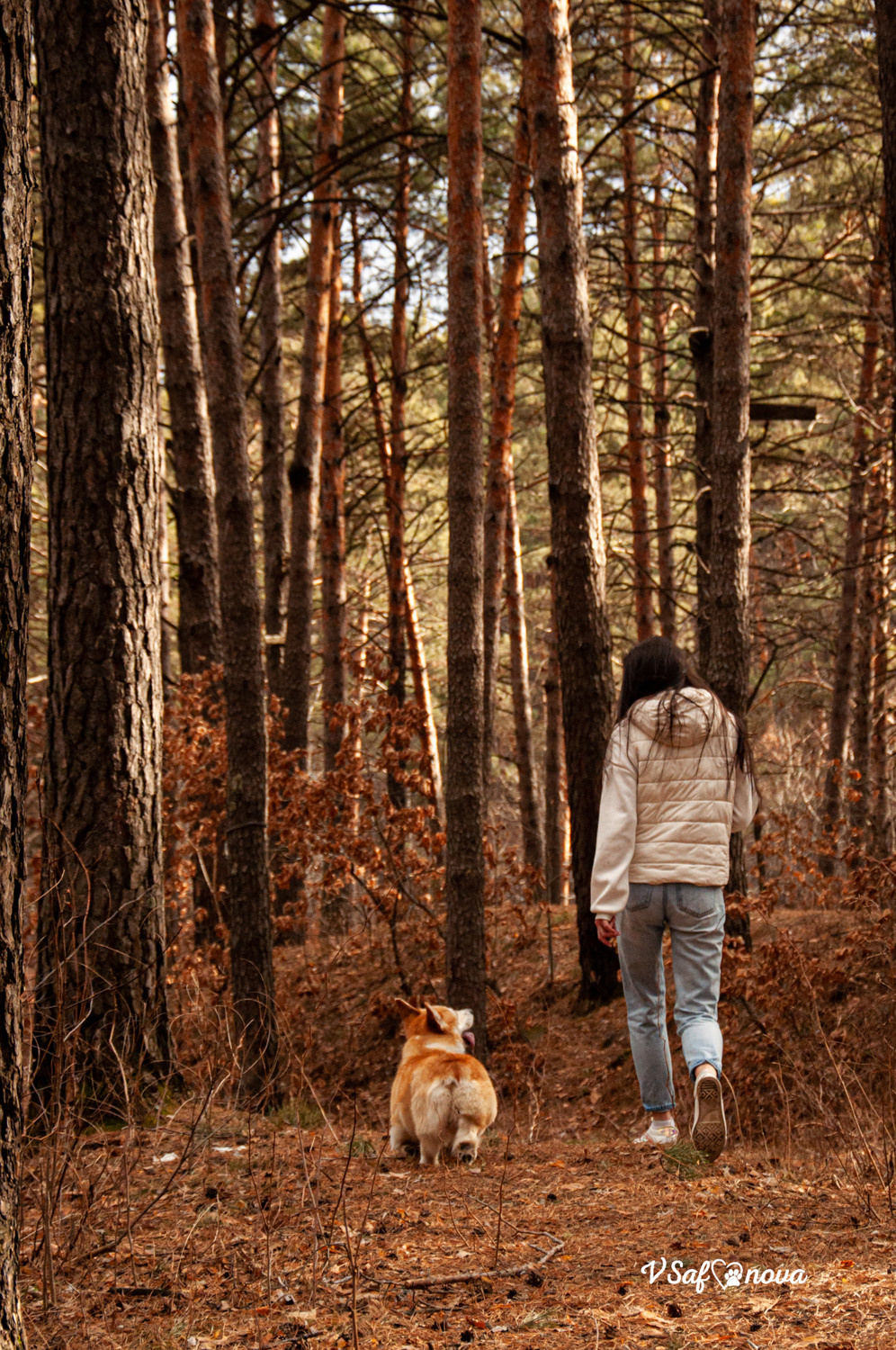 Локки и его команда 04.04.2021. Фотограф анималист Благовещенск. Сафонова Виктория