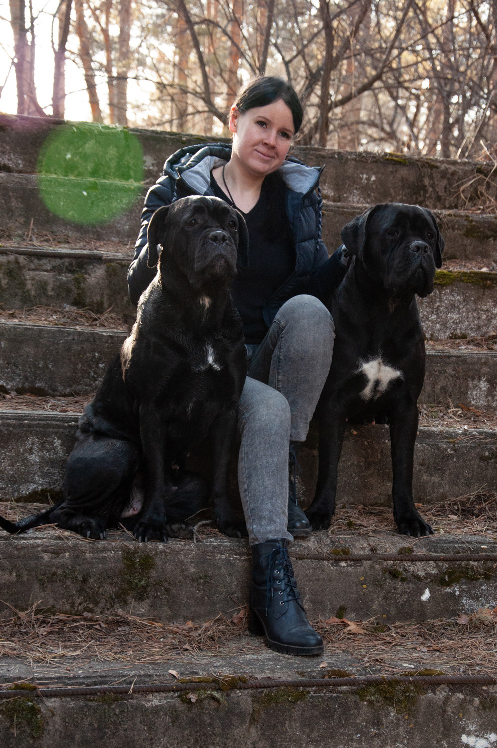 Таня, Прада и Тори 09.04.2021. Фотограф анималист Благовещенск. Сафонова Виктория