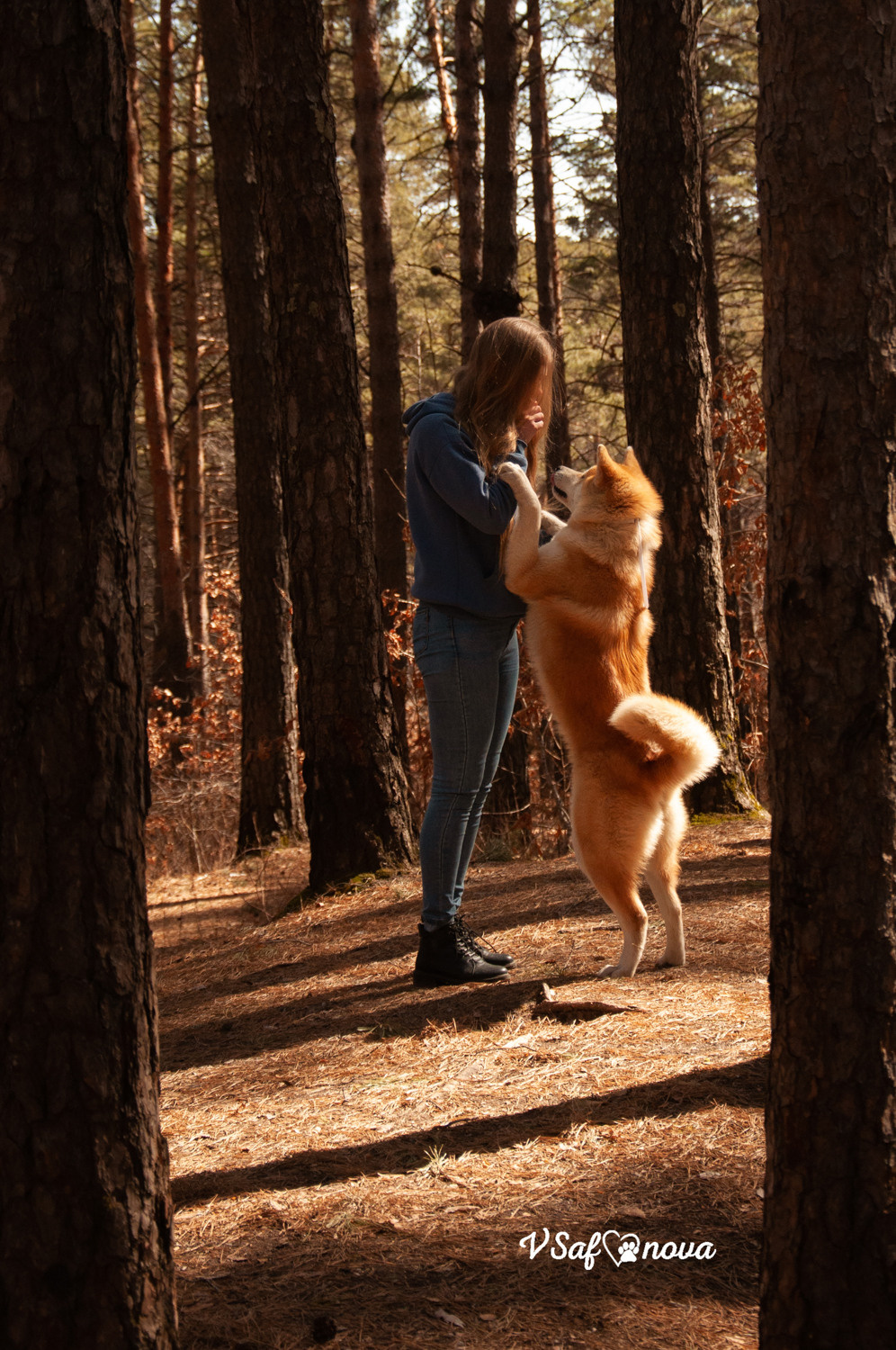 Алена, Кирилл и Фуми 09.04.2021. Фотограф анималист Благовещенск. Сафонова Виктория