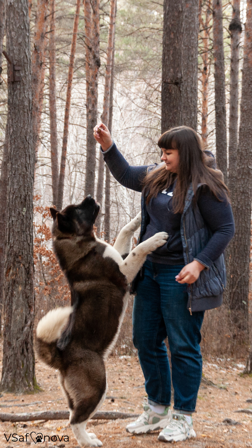Аня и Дора 20.03.2021. Фотограф анималист Благовещенск. Сафонова Виктория