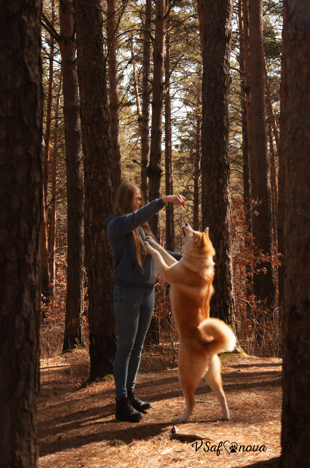 Алена, Кирилл и Фуми 09.04.2021. Фотограф анималист Благовещенск. Сафонова Виктория