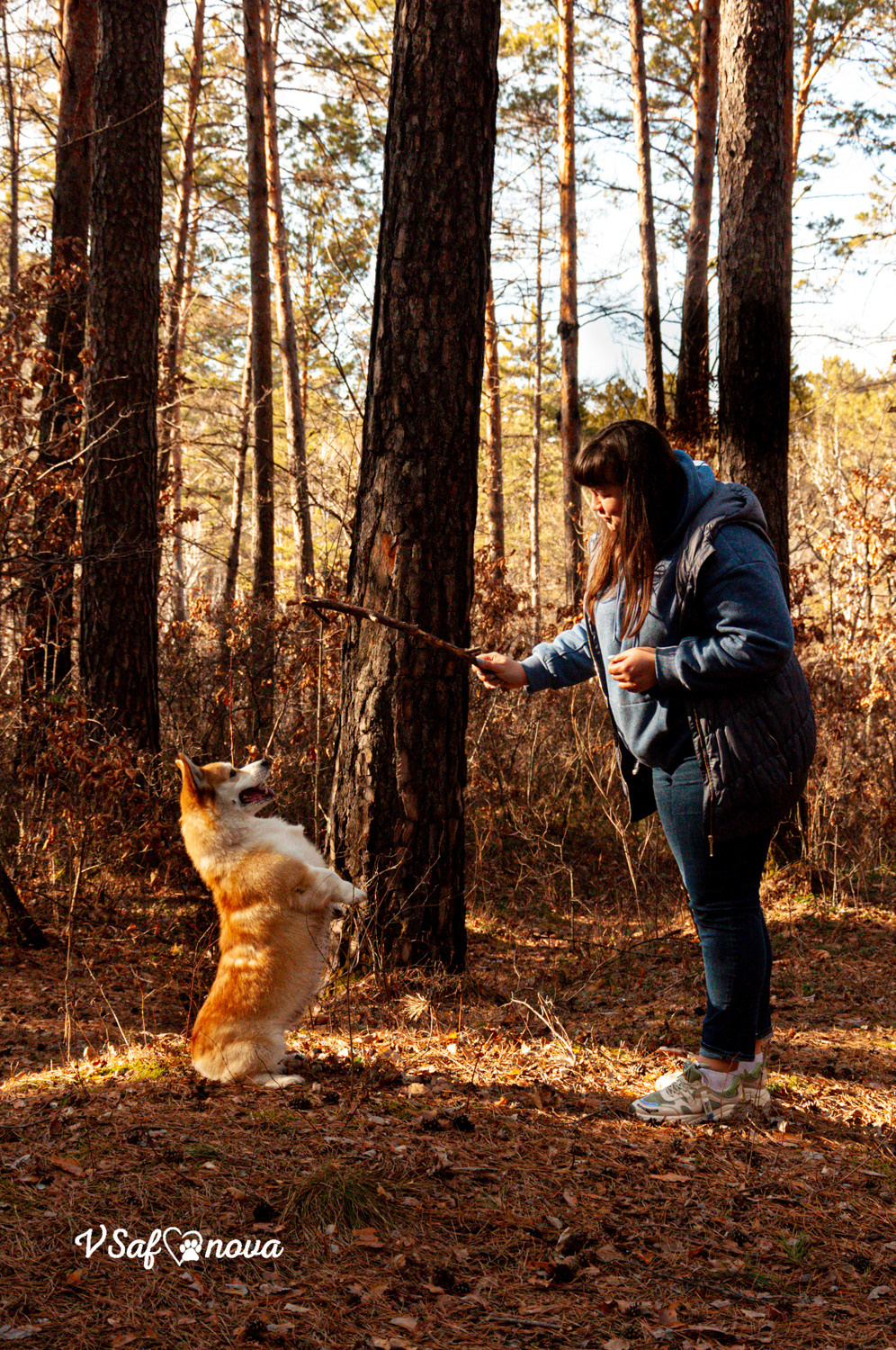 Локки и его команда 04.04.2021. Фотограф анималист Благовещенск. Сафонова Виктория