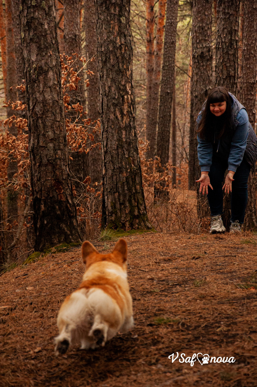 Локки и его команда 04.04.2021. Фотограф анималист Благовещенск. Сафонова Виктория