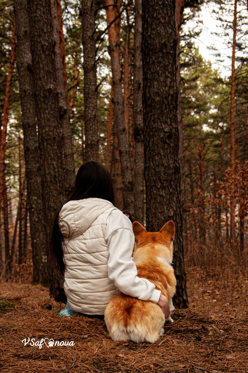 Локки и его команда 04.04.2021. Фотограф анималист Благовещенск. Сафонова Виктория