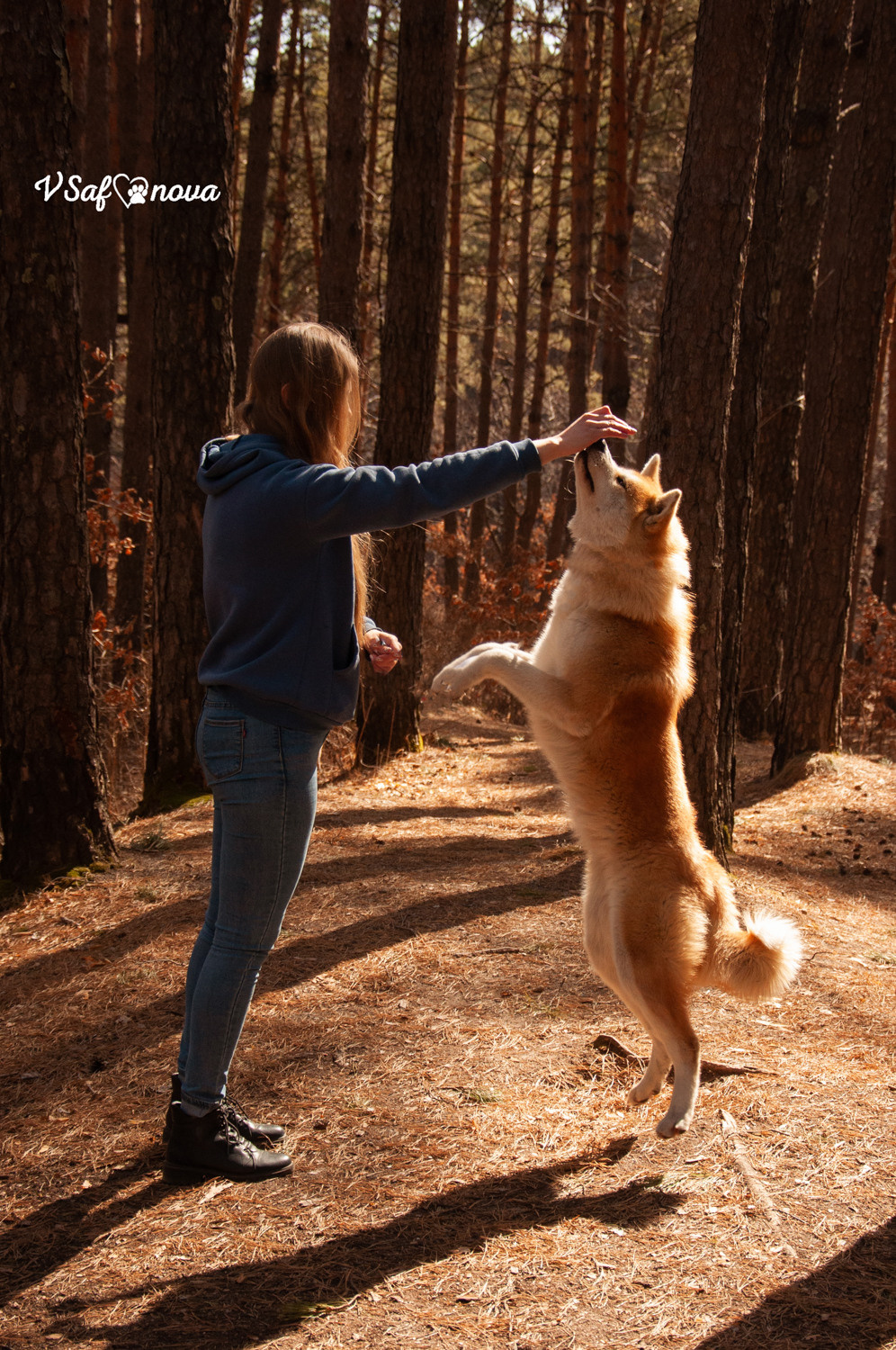 Алена, Кирилл и Фуми 09.04.2021. Фотограф анималист Благовещенск. Сафонова Виктория