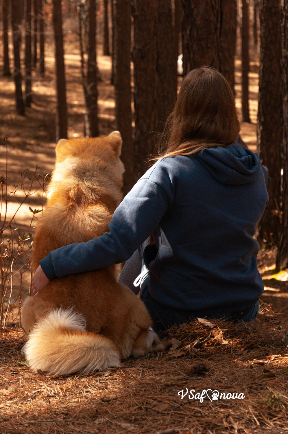 Алена, Кирилл и Фуми 09.04.2021. Фотограф анималист Благовещенск. Сафонова Виктория
