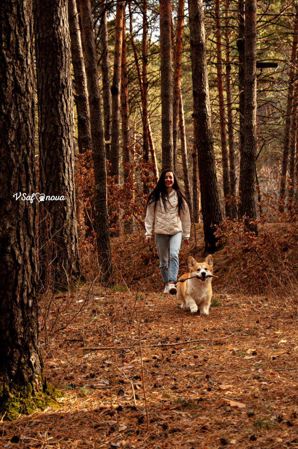 Локки и его команда 04.04.2021. Фотограф анималист Благовещенск. Сафонова Виктория