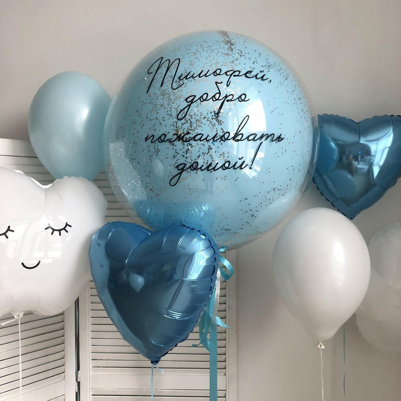 Фотограф в роддоме Сестрорецком г. Санкт-Петербург Банасиковская Ксения