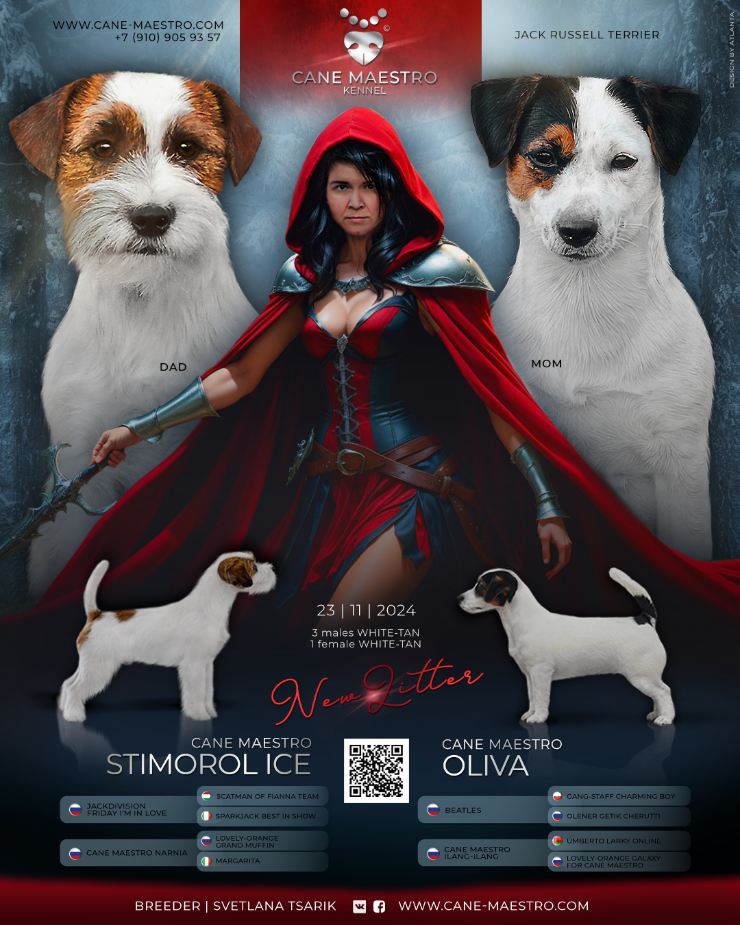 Джек рассел отзывы владельцев и покупателей щенков. CANE MAESTRO — kennel Jack Russell Terrier