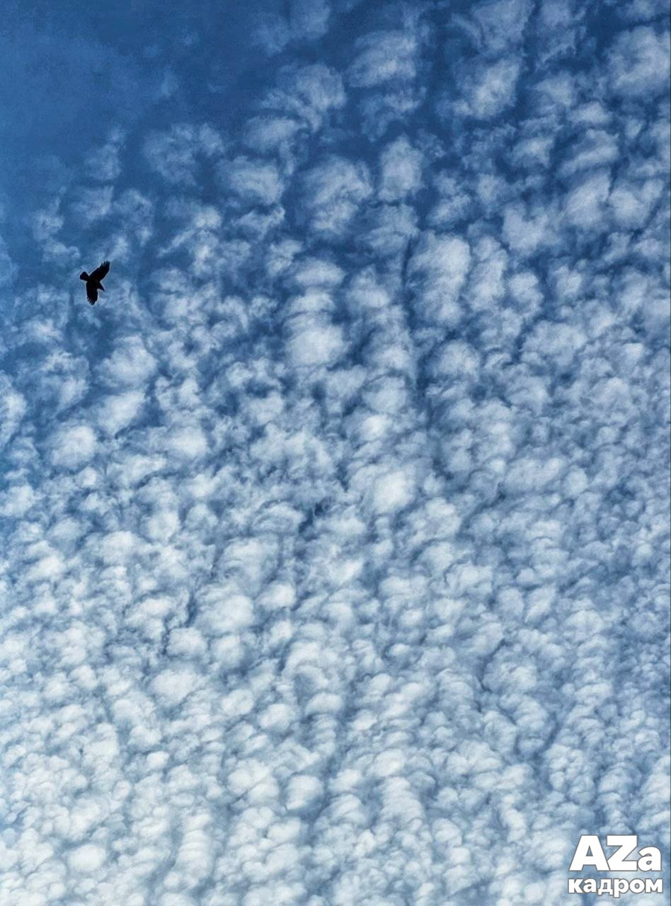 AZакадром «Фотофанты». Женский семейный фотограф Тула Москва Захарова Анна