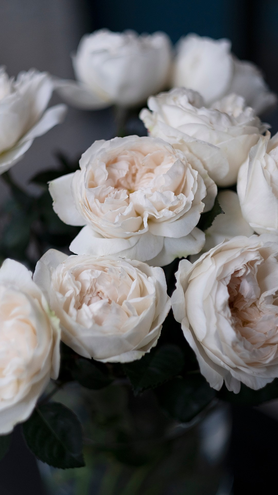 Цветочная студия Flower Garden. Профессиональный фотограф Ольга Терехова СПБ Батуми