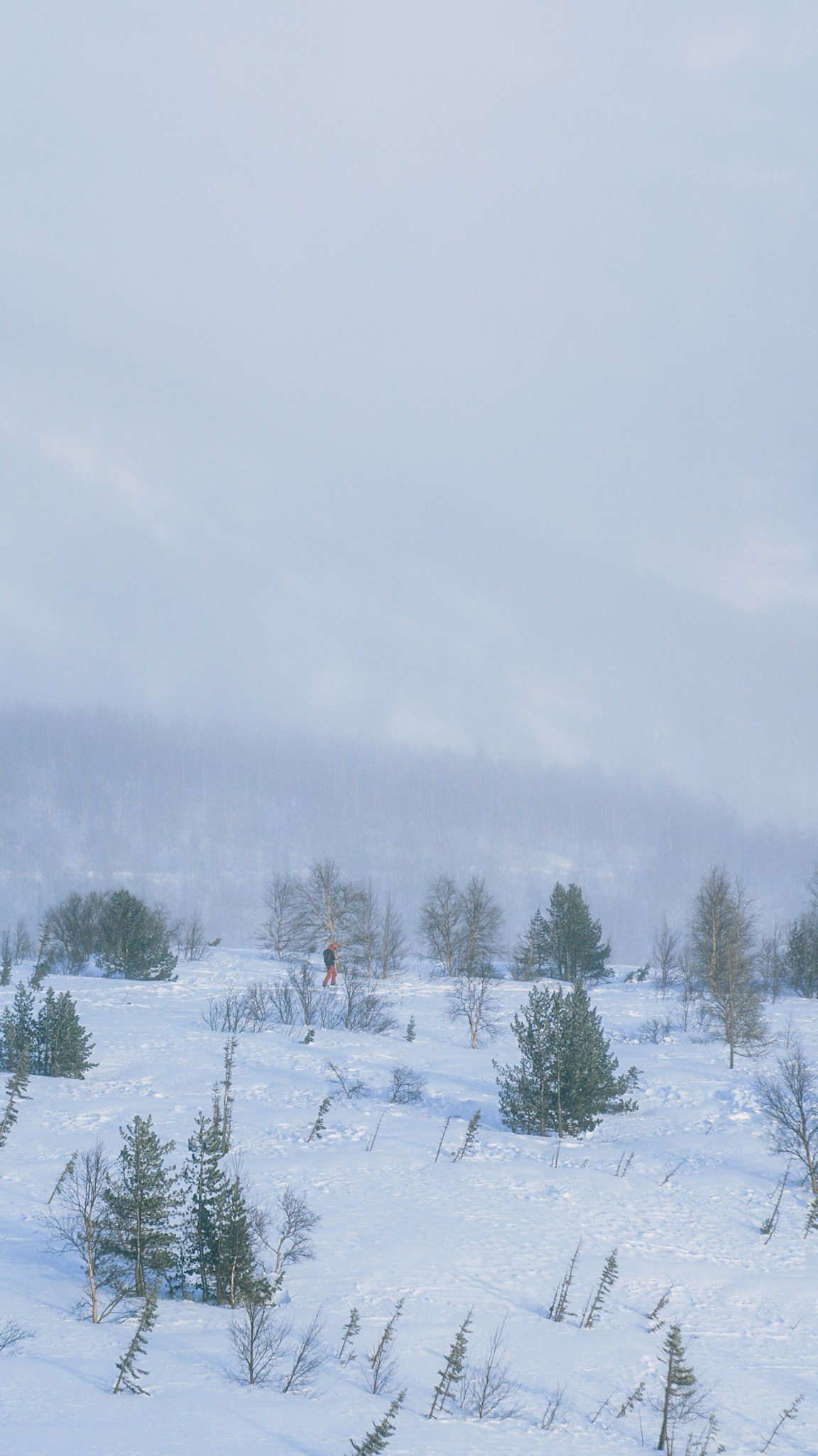Приисковое. Человек с фотокамерой