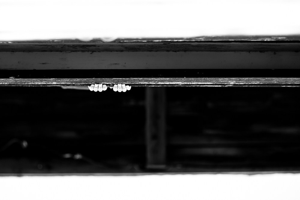 HATS. Арт-фотограф и преподаватель Анна Гражданкина