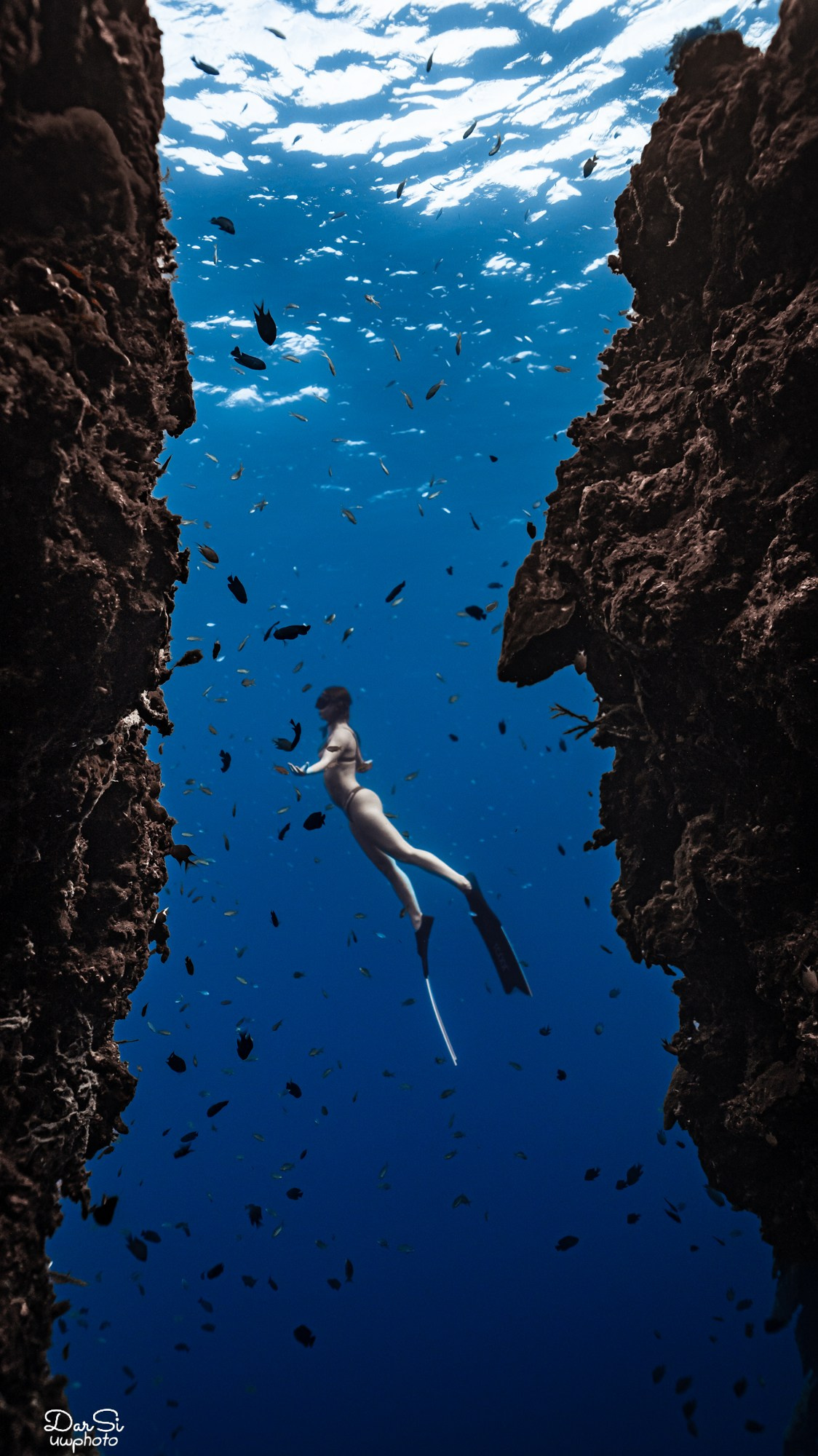 Фотосессия с сардинами (+каньон). Underwater Photographer in the Philippines — Daria Sinitsina