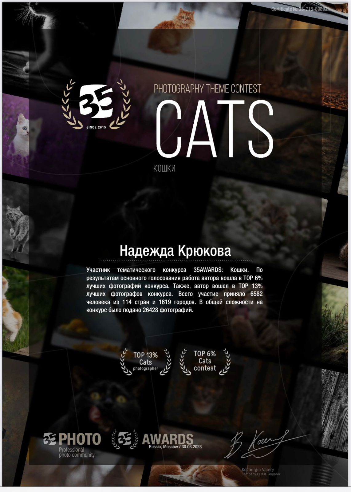 Достижения. Семейный и детский фотограф в Москве и МО Крюкова Надежда