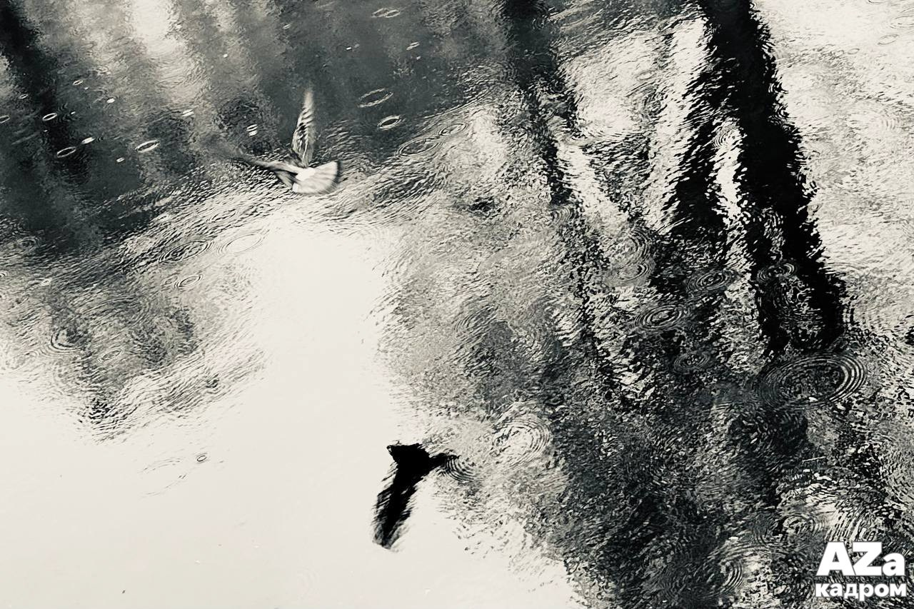 AZакадром «Отражения». Женский семейный фотограф Тула Москва Захарова Анна