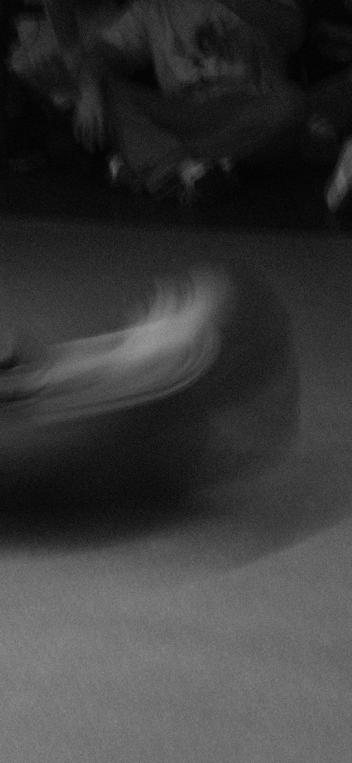 NBD 2023. LIYALEE PHOTO