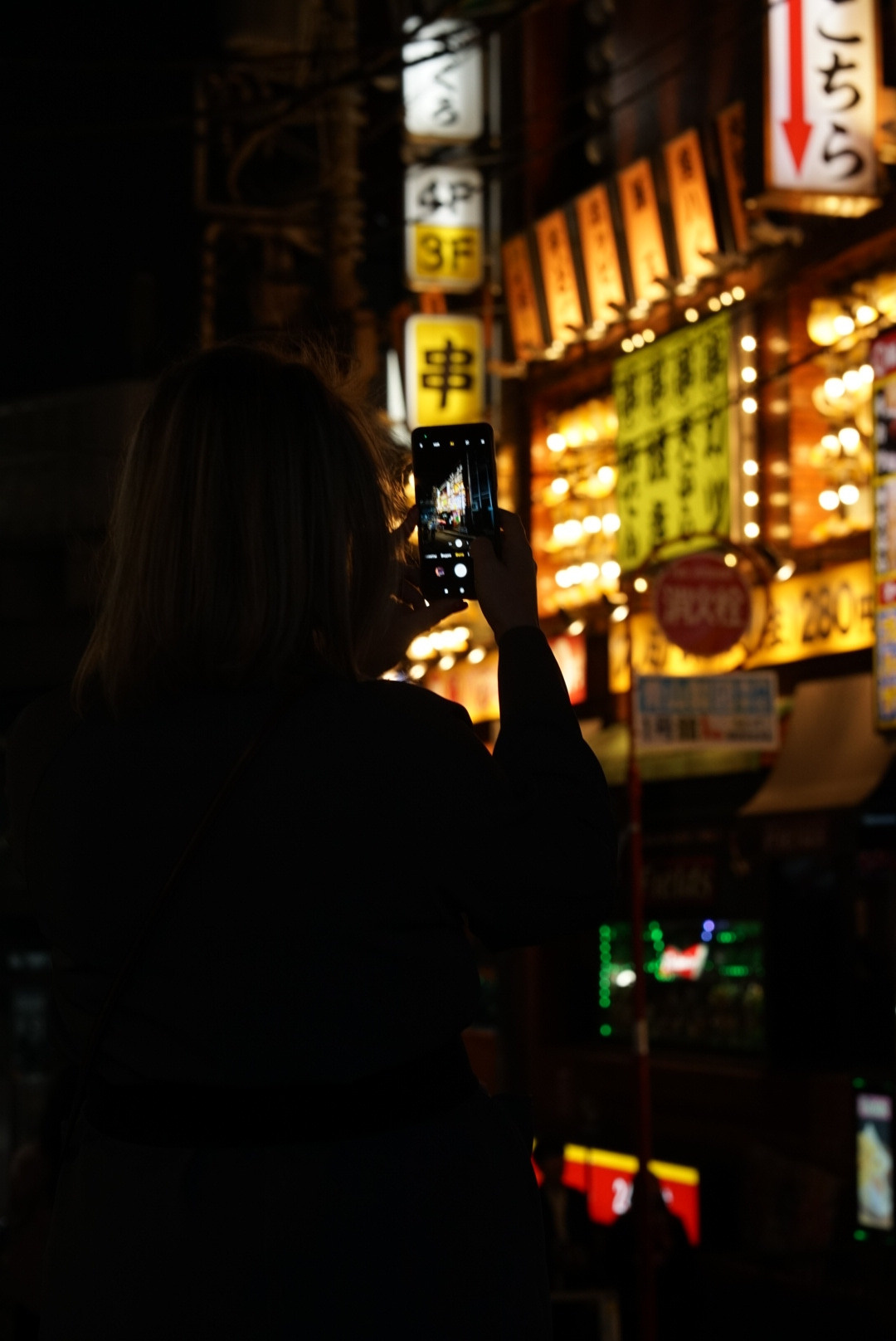 JAPAN — TOKYO — OSAKA. AnatoliiVolf