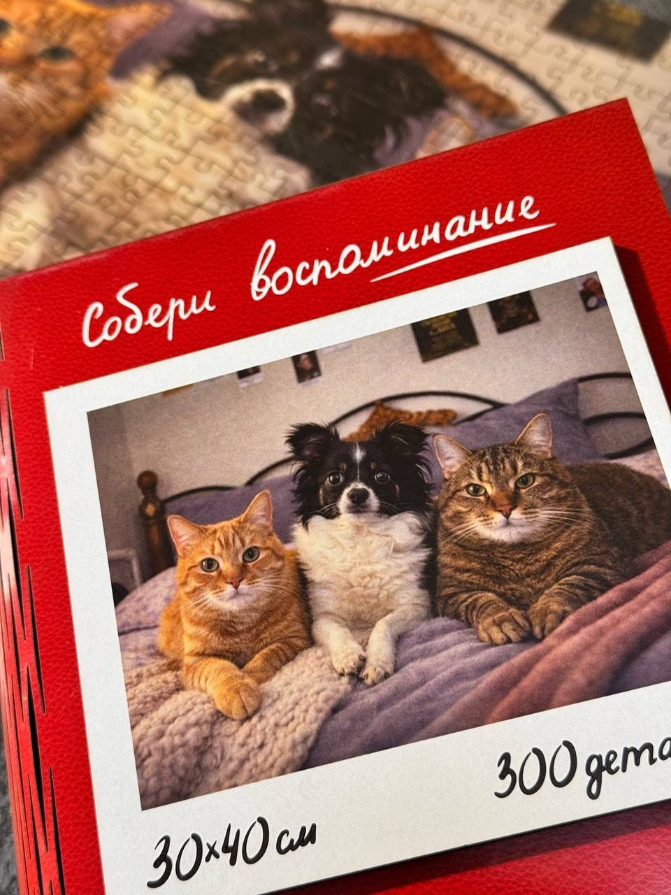 деревянные пазлы на заказ с фото фигуриста, фигуристка, заказать пазл, купить пазл, пазл на заказ, пазл на заказ екатеринбург, пазл премиум качества, пазл в подарочной упаковке, пазл с фигуристкой, что подарить фигуристу, что подарить фигуристке, подарок для мамы фигуристки, подарок хоккеисту, подарок маме хоккеиста, подарок спортсмену, олимпиада 2026, лучший подарок собери сам, деревянный пазл на заказ екатеринбург, подарок спортсменам екатеринбург,Изготавливаем деревянные фото-пазлы на заказ по вашей фотографии. Вы присылаете фото — мы обрабатываем, изготавливаем и упаковываем в шикарную подарочную деревянную коробку, пазлы на заказ по вашей фотографии, пазлы по вашему рисунку, пазлы по вашему макету, купить пазлы, екатеринбург купить, 