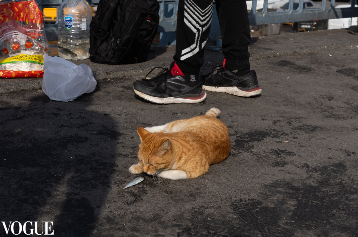 Коллекция фотографий для Vogue от Екатерины Егоровой в Москва. Семейный фотограф в Москве Екатерина Егорова