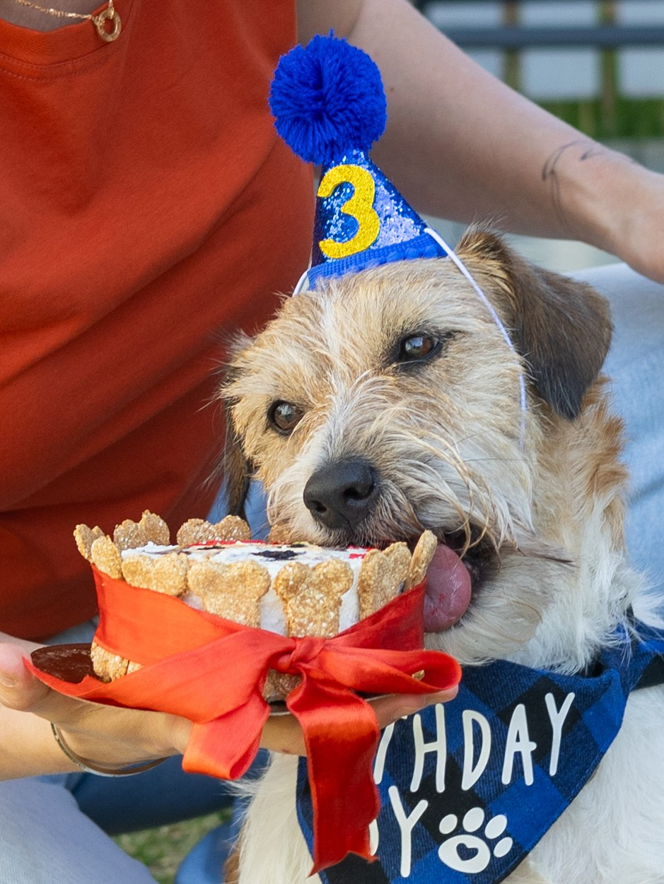 Фотограф-анималист в Москве Кириллова Татьяна