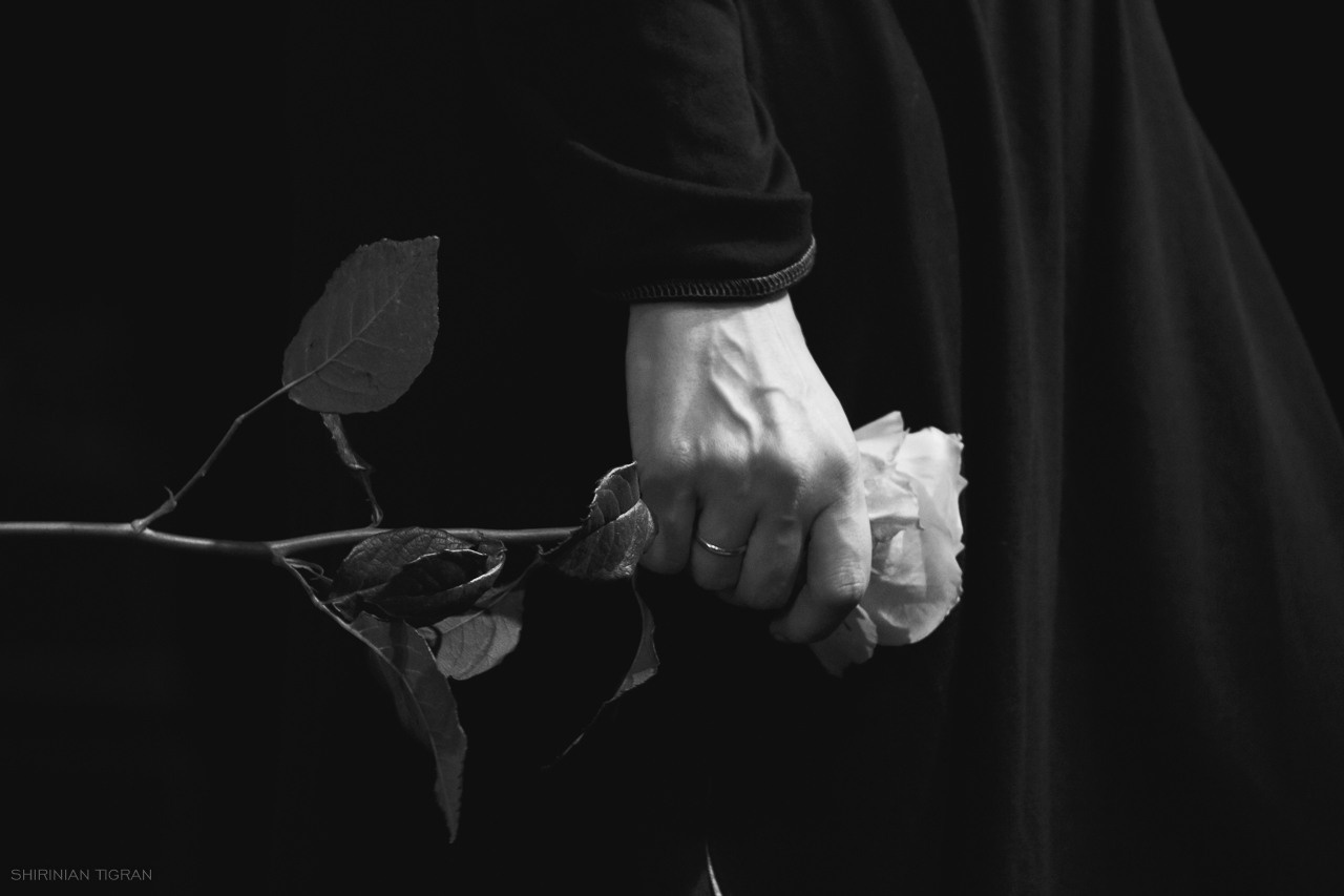 Concerts. TVSPhoto — Visual content production