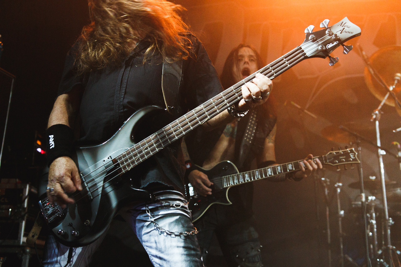 Concerts. TVSPhoto — Visual content production