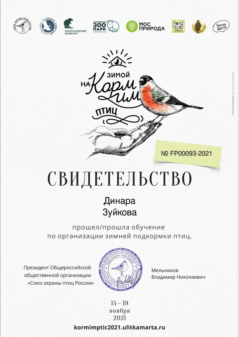 Дипломы. Мотофотограф в Нижнем Новгороде Динара Зуйкова