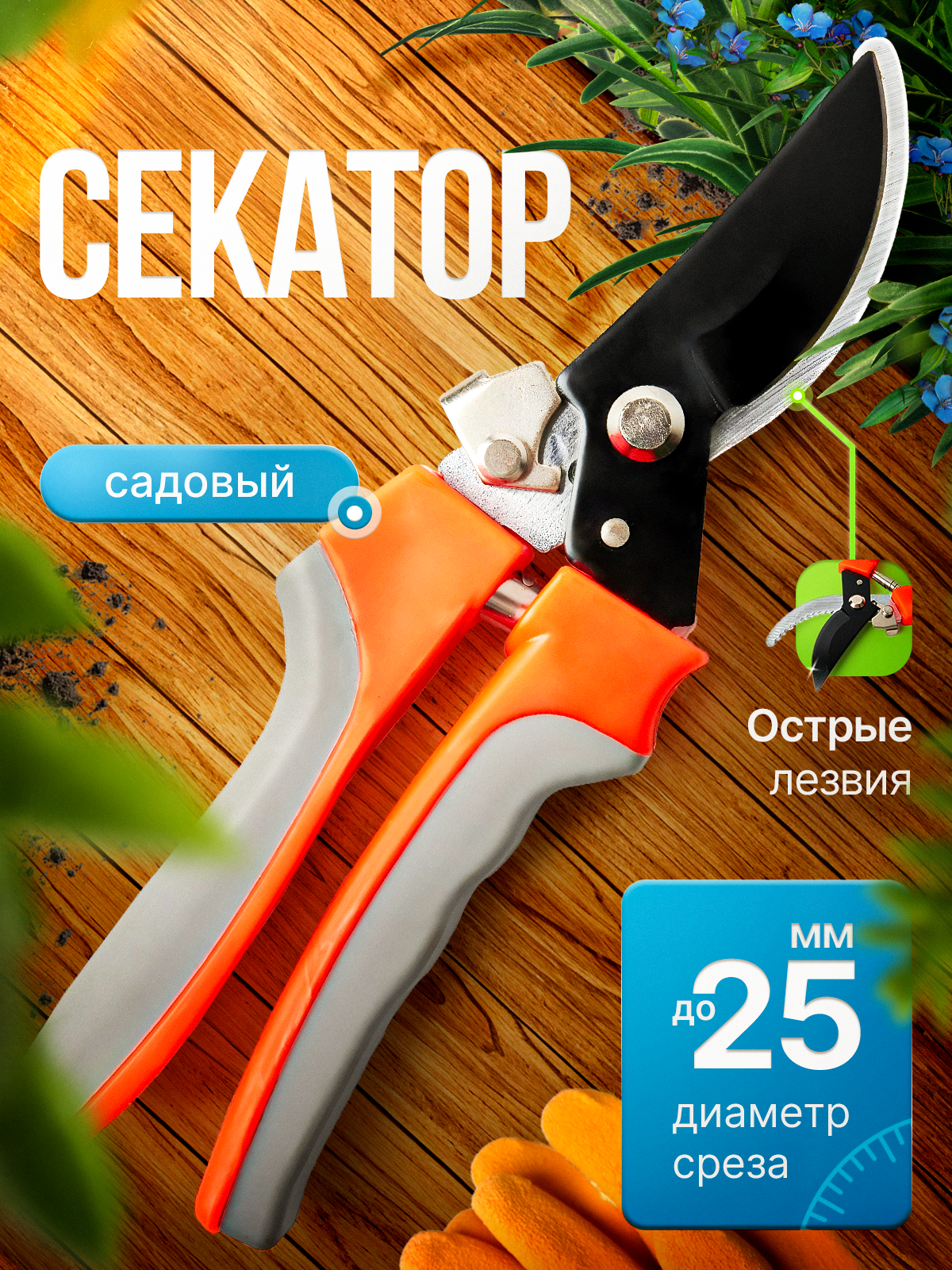 ОБЛОЖКИ  CTR. Студия Антонины Баушевой