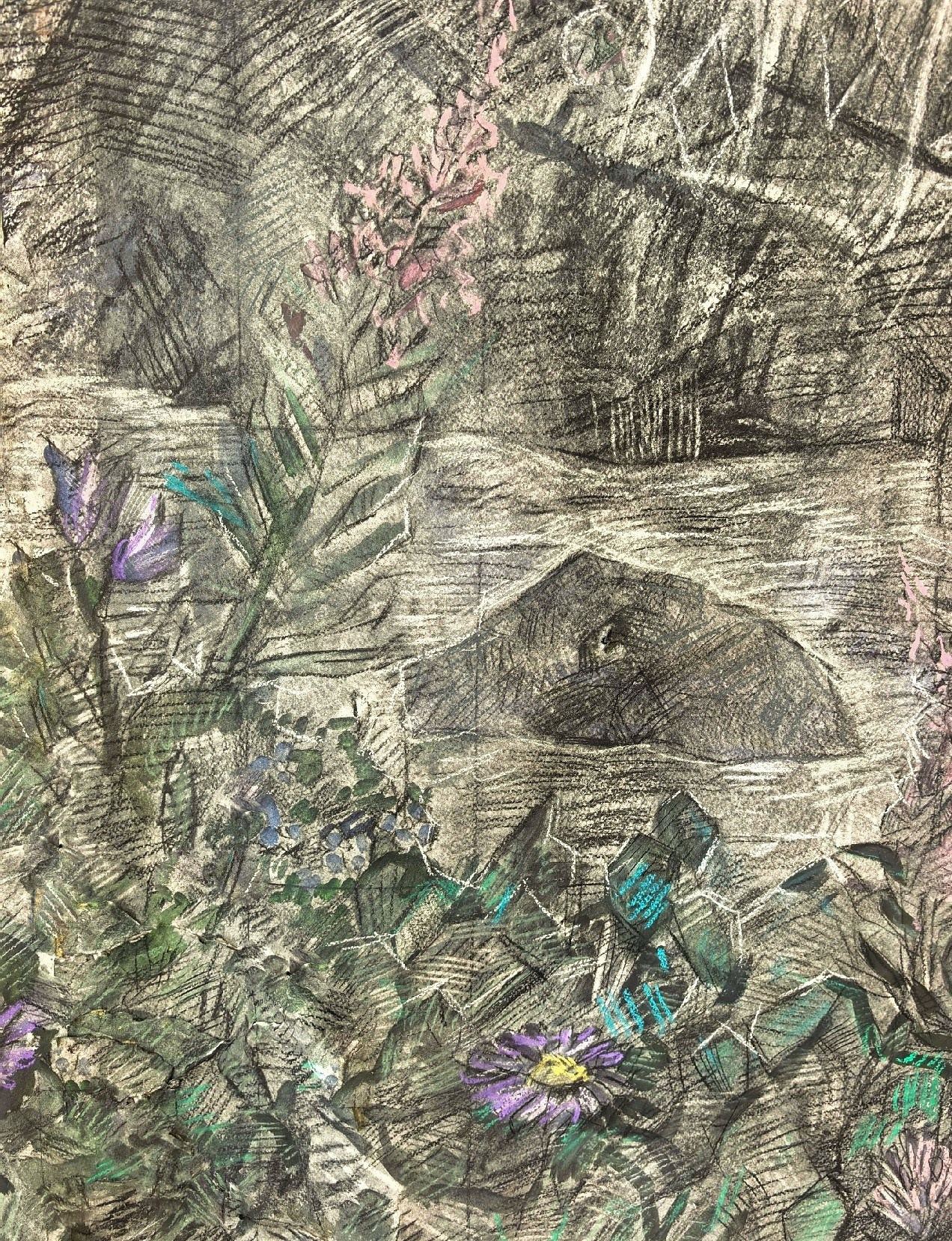 Русалки. Художник и гид по Камчатке Евгений Чайкин