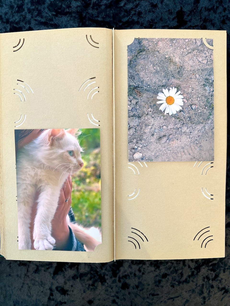 Witches of Green Hill / Ведьмы с Зеленого холма. Художник Катерина Копейкина / Artist Katerina Kopeikina