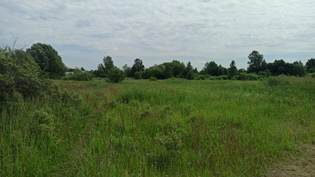 Походная Романтика 31. ФанФест на Клязьме | 2020. Галерея Фантим