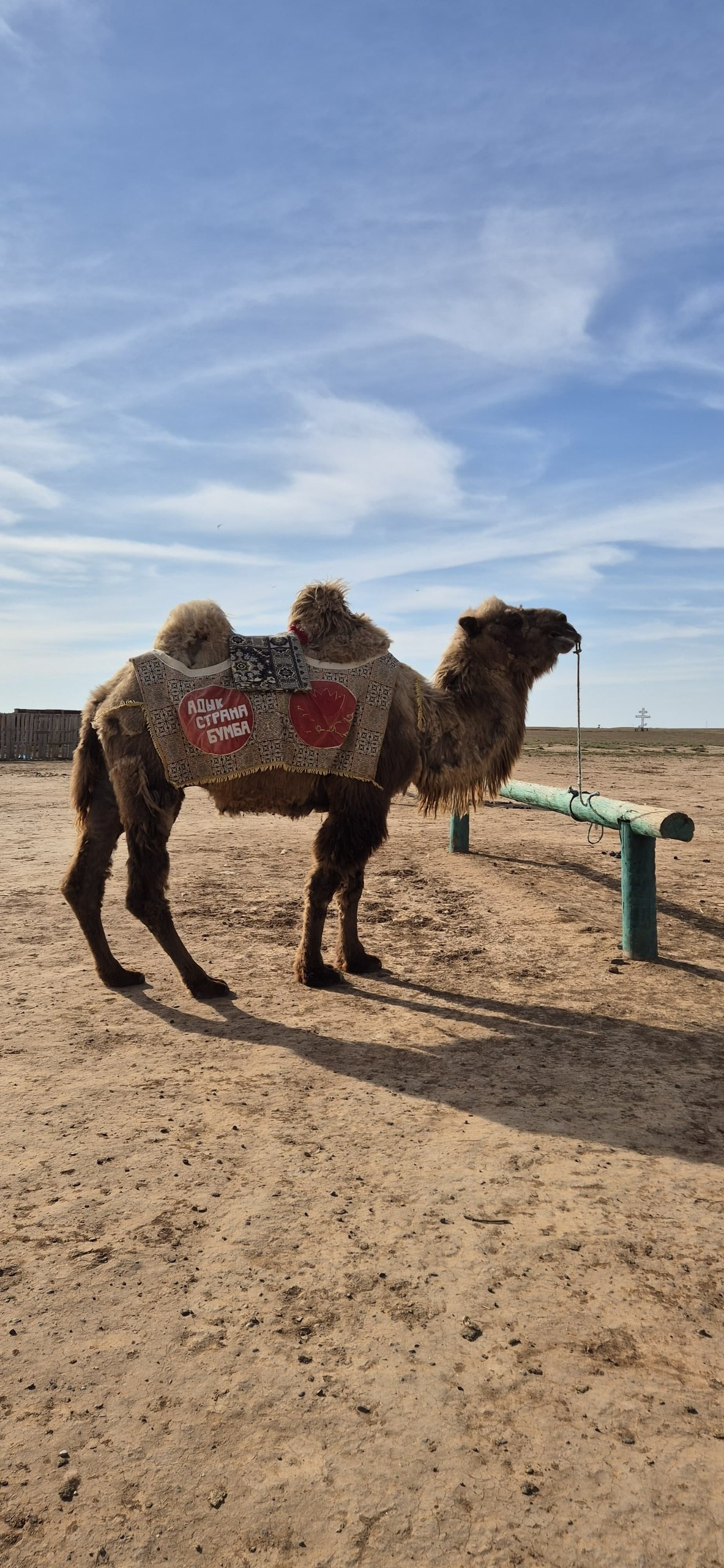 Астрахань и Элиста. Экскурсионная поездка | 30.04-04.05.2025. Галерея Фантим