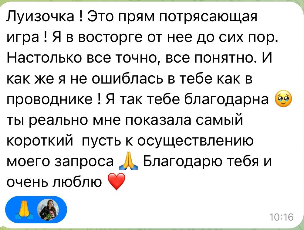 Луиза Амирова. Исследовательская игра ЗЕМЛЯНИН в Перми, Москве, Сочи, и других городах
