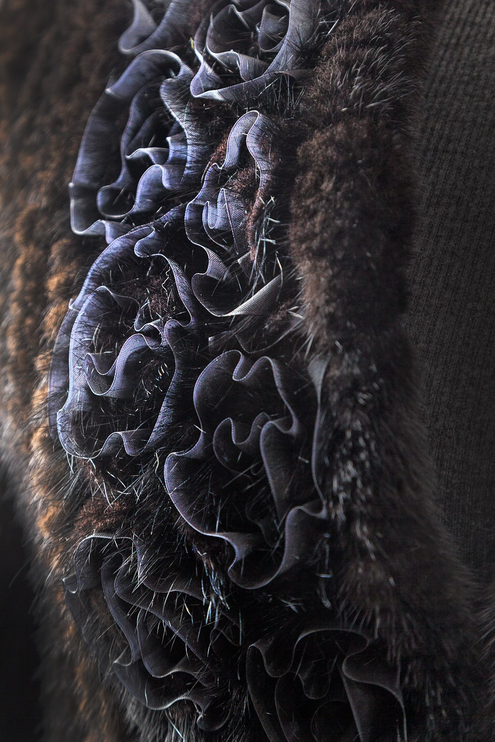 Одежда. Photomantis