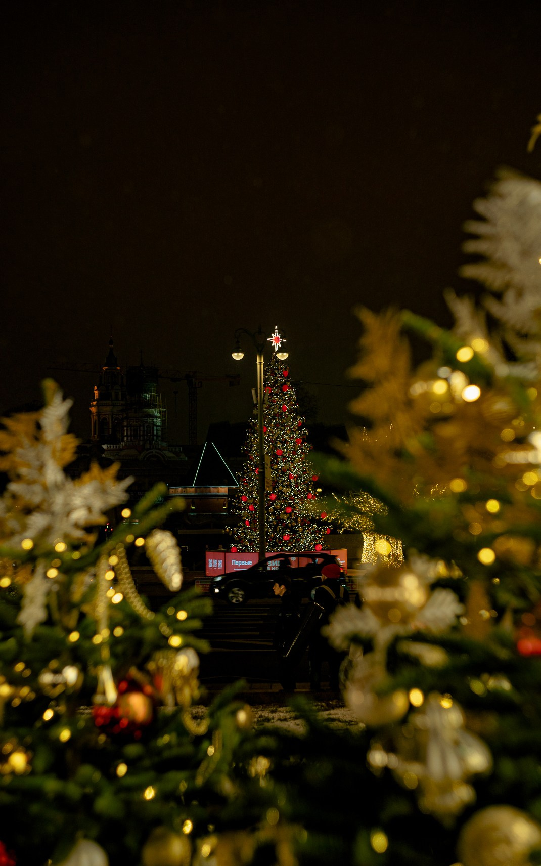 Москва. Ноябрь. 2024. Фотограф в Сочи Елена Лисотина. Фототуры в Сочи