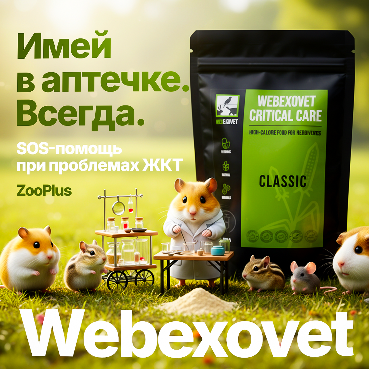 Рич контент/рекламные креативы. Инфографика для маркетплейсов, ваш персональный дизайнер