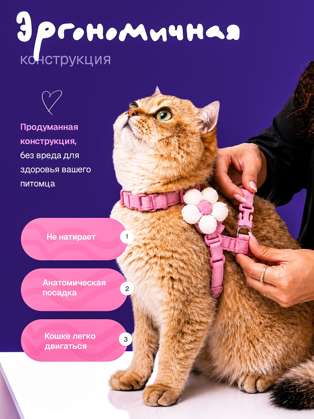 Инфографика для маркетплейсов