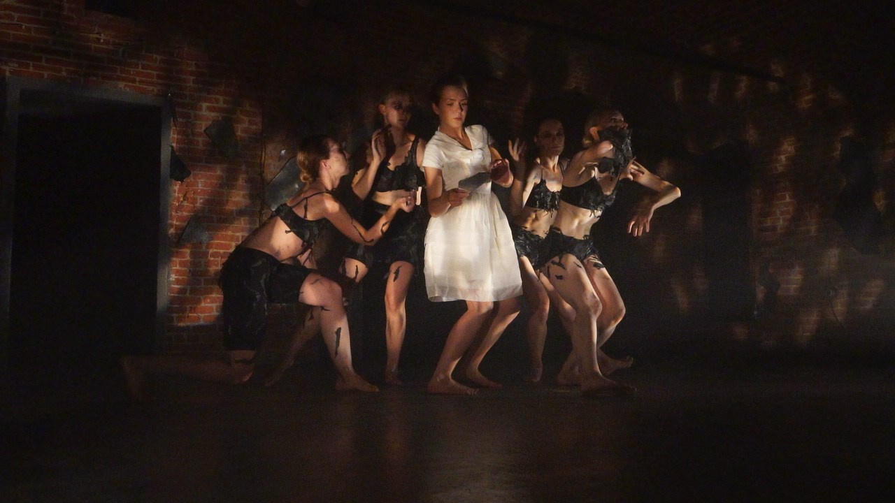 Красное дерево. Фото / Видеосъемка в Москве