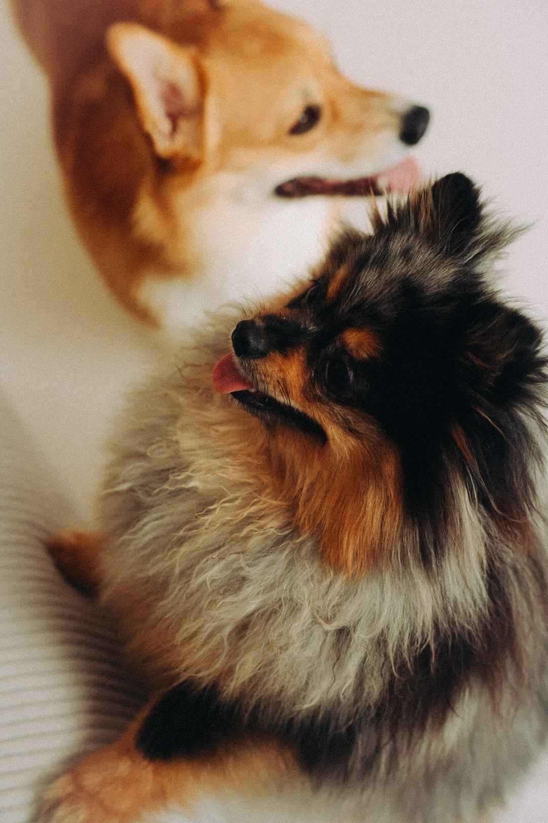 Family. Фотограф Нижний Новгород
