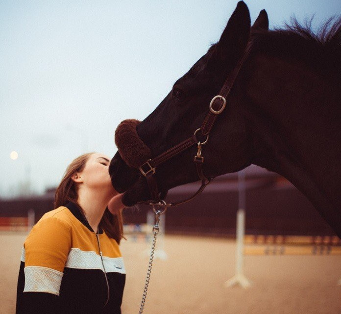 Фотосессия с лошадью, с лошадьми, лошади, тренировки, конный спорт, конюшня