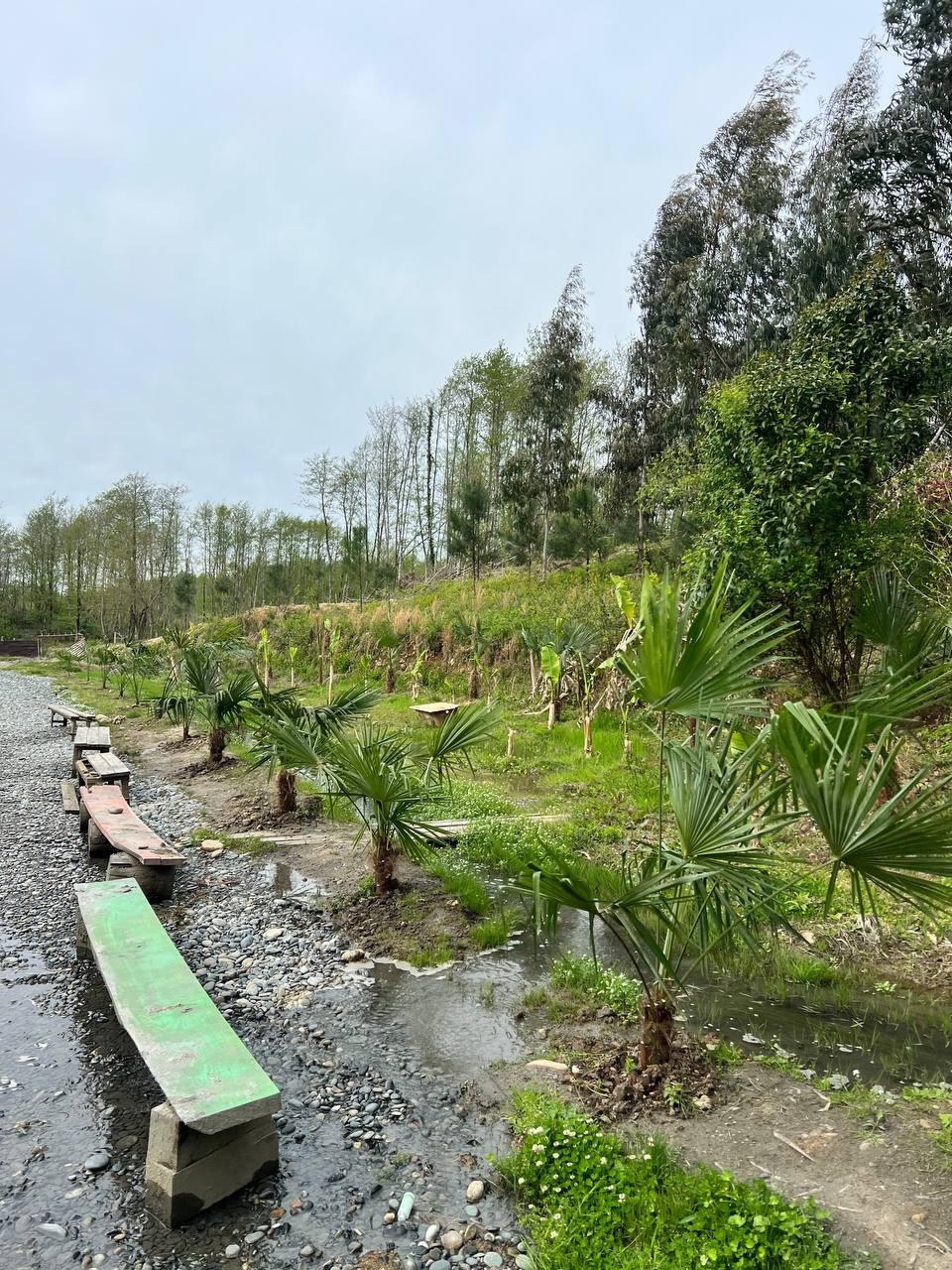 Профессиональный свадебный фотограф в Сочи для вашего идеального дня. Свадебный фотограф в Абхазии, Сухум, Гагра, Сочи